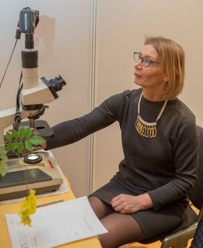 30_01_16Wolschendorf-37