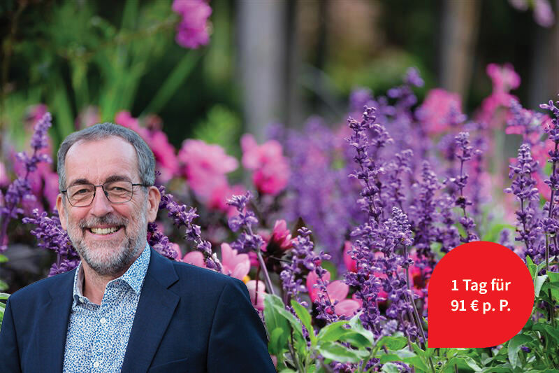 Tagesausflug Landesgartenschau