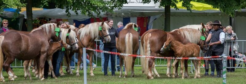 04_06_16Wolschendorf-19