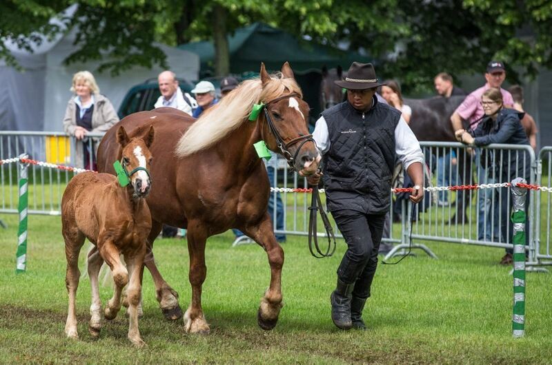 04_06_16Wolschendorf-20