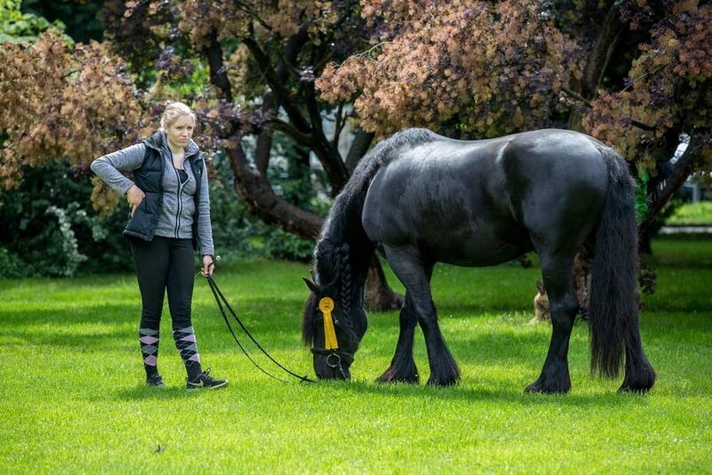 04_06_16Wolschendorf-21