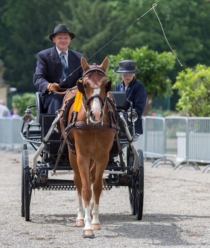 04_06_16Wolschendorf-51