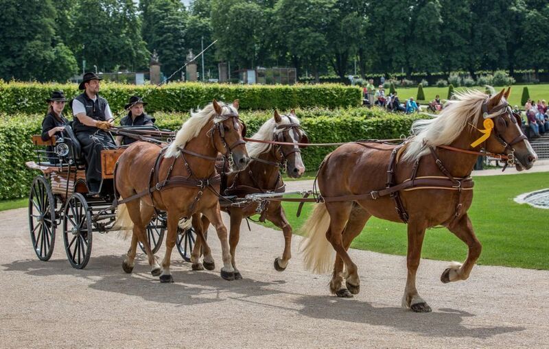 04_06_16Wolschendorf-53