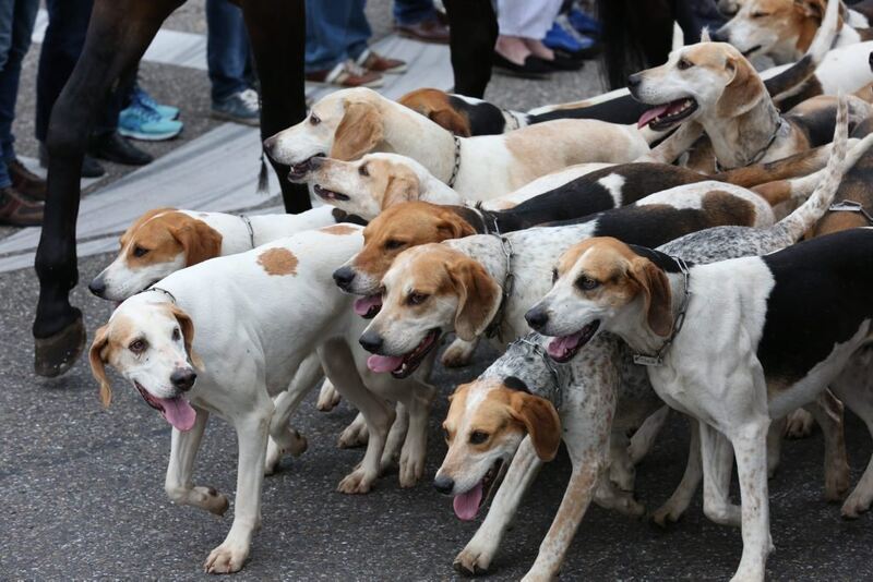 05_06_16Wolschendorf-66