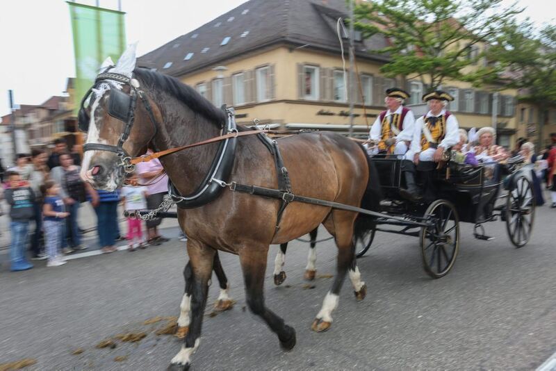 05_06_16Wolschendorf-151