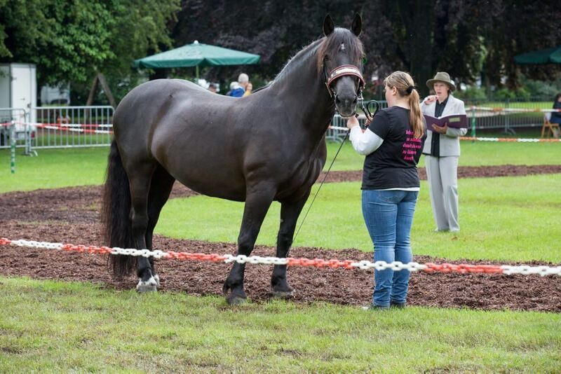 04_06_16Wolschendorf-13