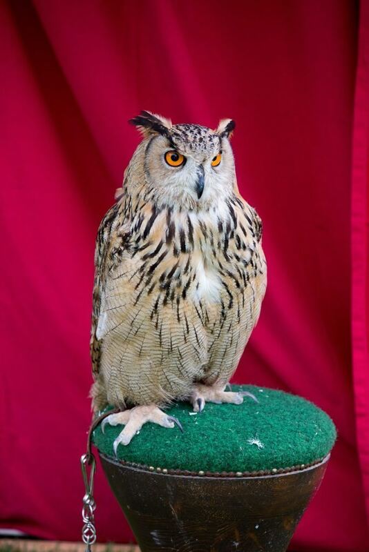 04_06_16Wolschendorf-16