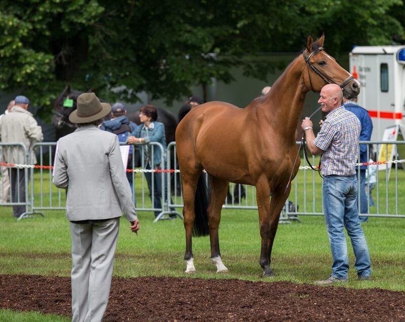 04_06_16Wolschendorf-17