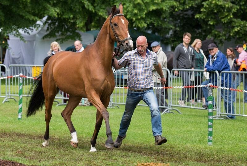 04_06_16Wolschendorf-18