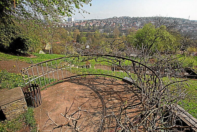 350_0900_15555_COST05_04_17Wolschendorf_13_2.jpg