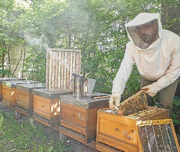 bienen_02