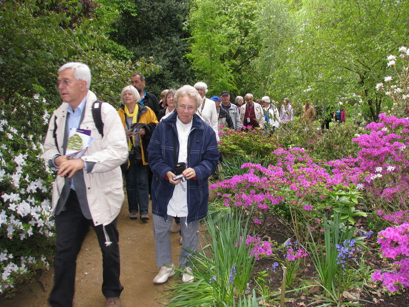 020a Südengland 1. Tag Savill Garden