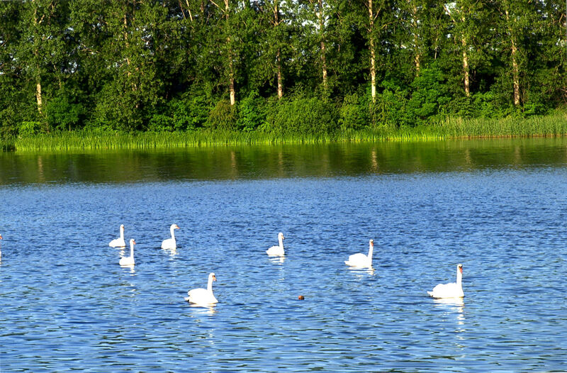 18_07_18_Ferienaktion_Jenner