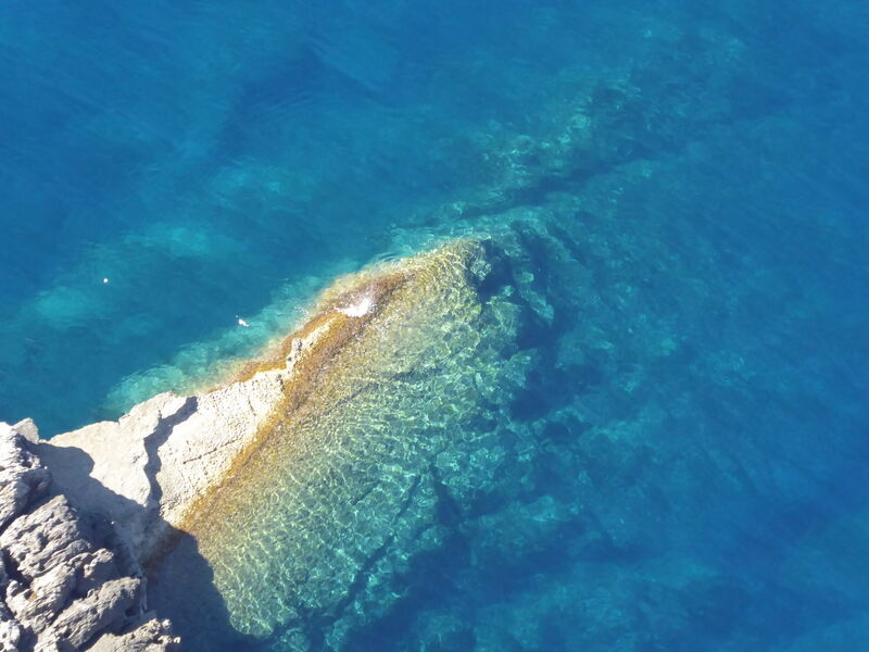 Ferienaktion 2017 koralle Mallorca