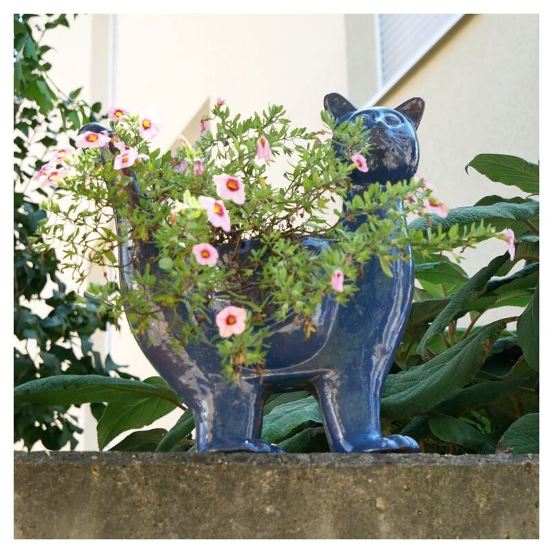 14 - 300 Minuten Weg