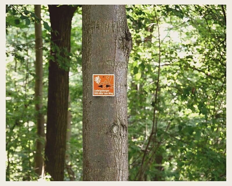 38 - 300 Minuten Weg