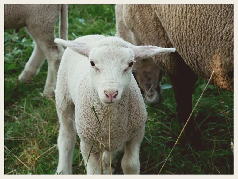 45 - 300 Minuten Weg