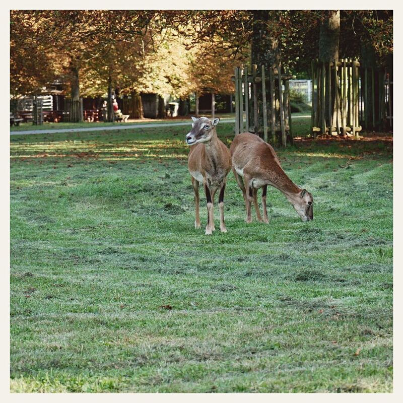 52 - 300 Minuten Weg