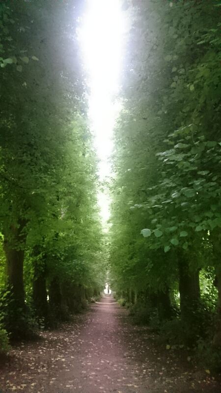 Ferienaktion 2017 Ludwigehubr