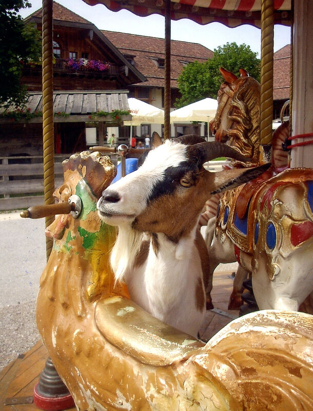 Ferienaktion 2017 -Feistritzer_Gei