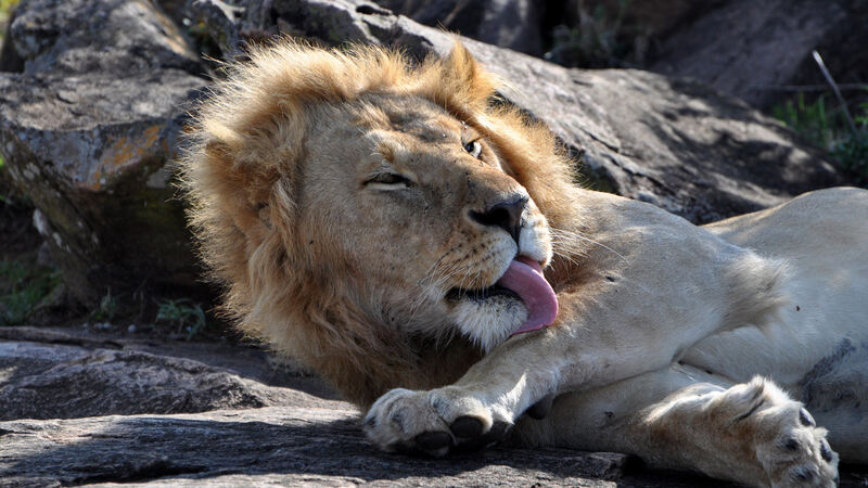 Ferienaktion 2017 - l