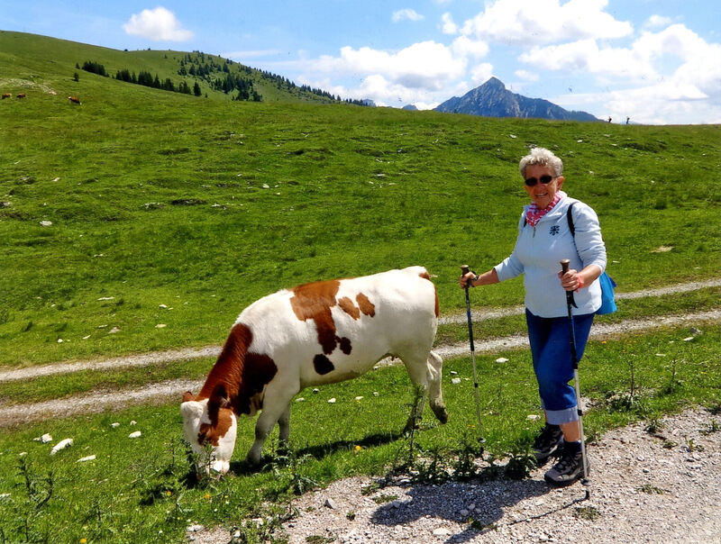 Ferienaktion 2017 -Feistritzer_Salzkammergut