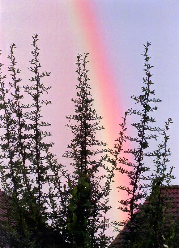 Ferienaktion 2017 Regenbogen Thum