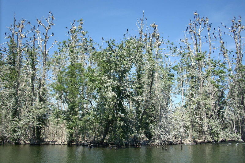 Ferienaktion 2017 - INTERNET - 6