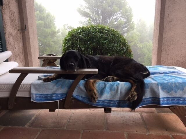 Ferienaktion 2017 - INTERNET - 4