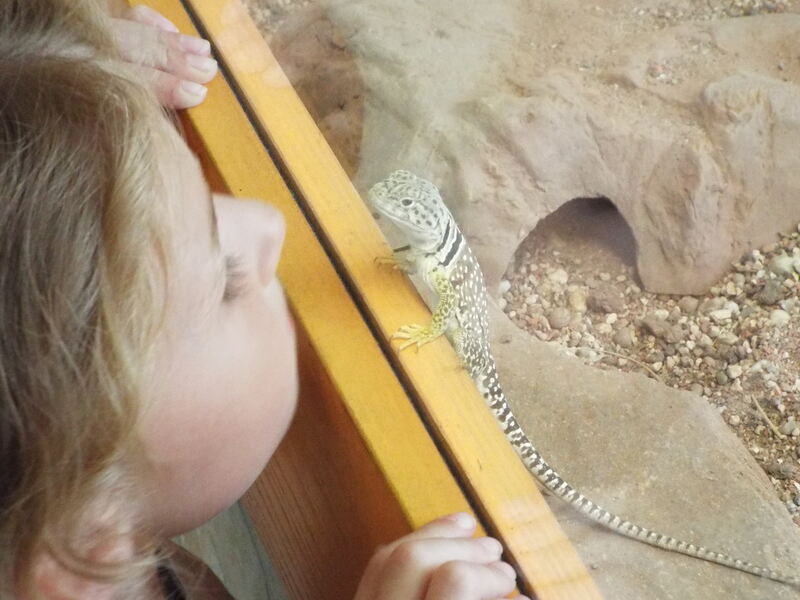 Ferienaktion 2017 - INTERNET - 2