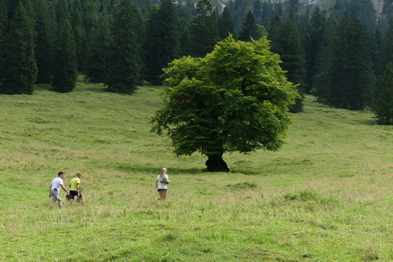 Ferienaktion 2017 - INTERNET - 1
