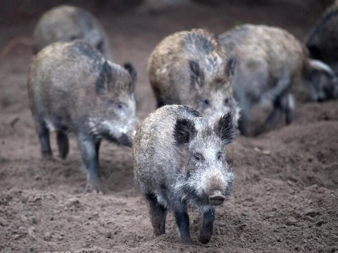 Open Innovation Hermes Team Social Mile Hermes Blog