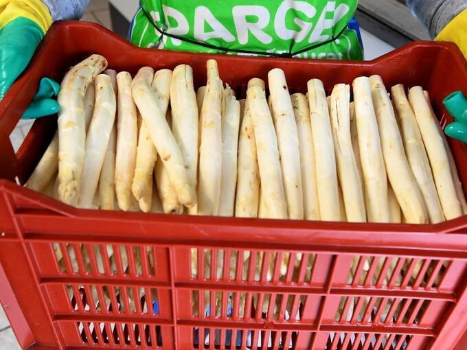 Spargel Hui Auf Dem Teller Igitt Auf Dem Klo Uberregionales