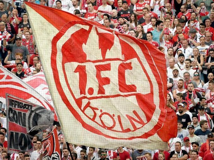 1. FC Köln - Fans