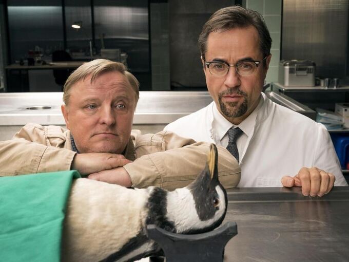 Tatort: Schlangengrube Tatort: Schlangengrube