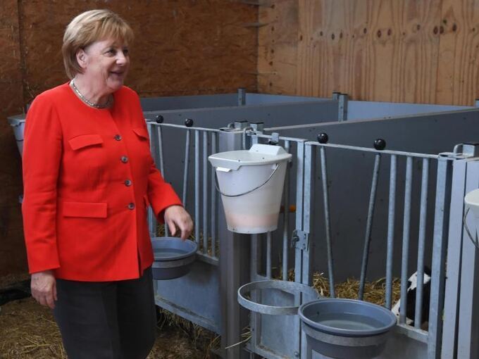 Merkel besucht Milchviehbetrieb