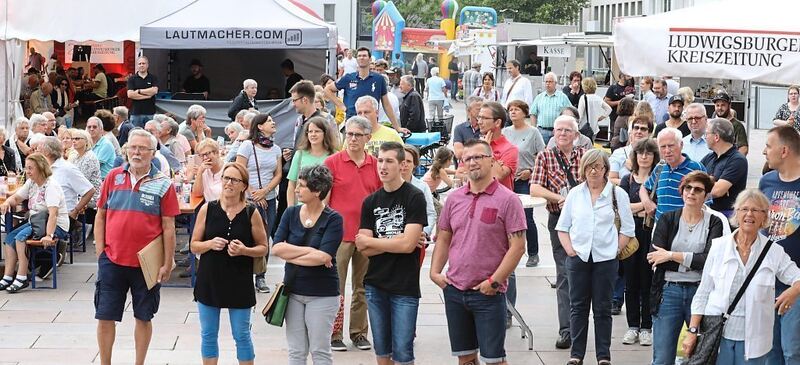 350_0008_1279972_21_07_18Theiss_113