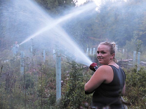 Übung der besonderen Art: Die Feuerwehr Löchgau hat junge Buchen bei Kleinsachsenheim bewässert. Tatjana Krämer im Einsatz.Fotos: Alfred Drossel
