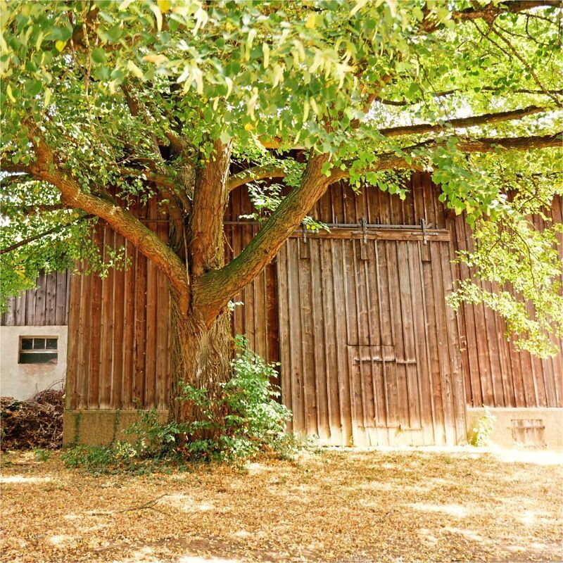 Rundwanderweg_Ludwigsburg_2 (10)