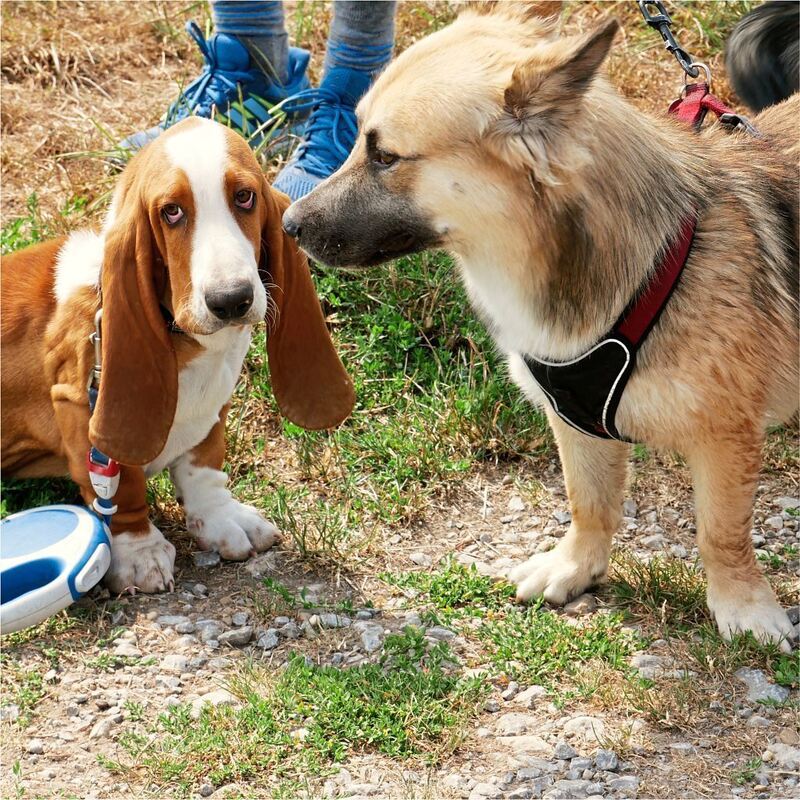 Rundwanderweg_Ludwigsburg_2 (11)