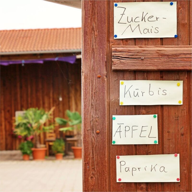 Rundwanderweg_Ludwigsburg_2 (12)