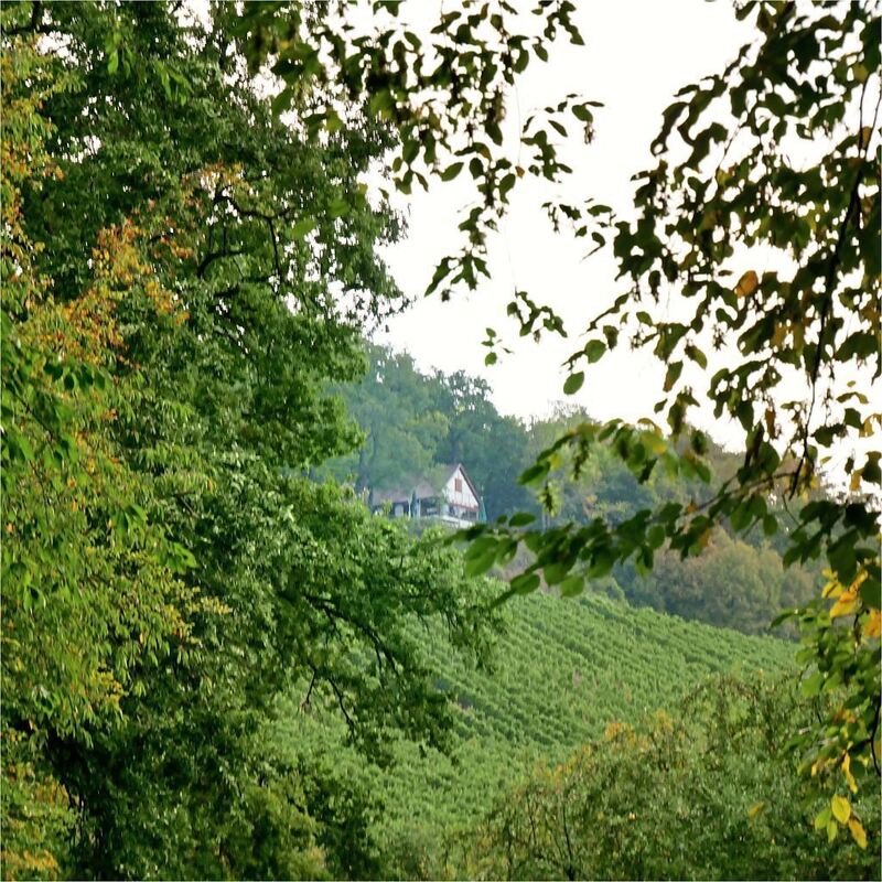 Rundwanderweg_Ludwigsburg_2 (14)