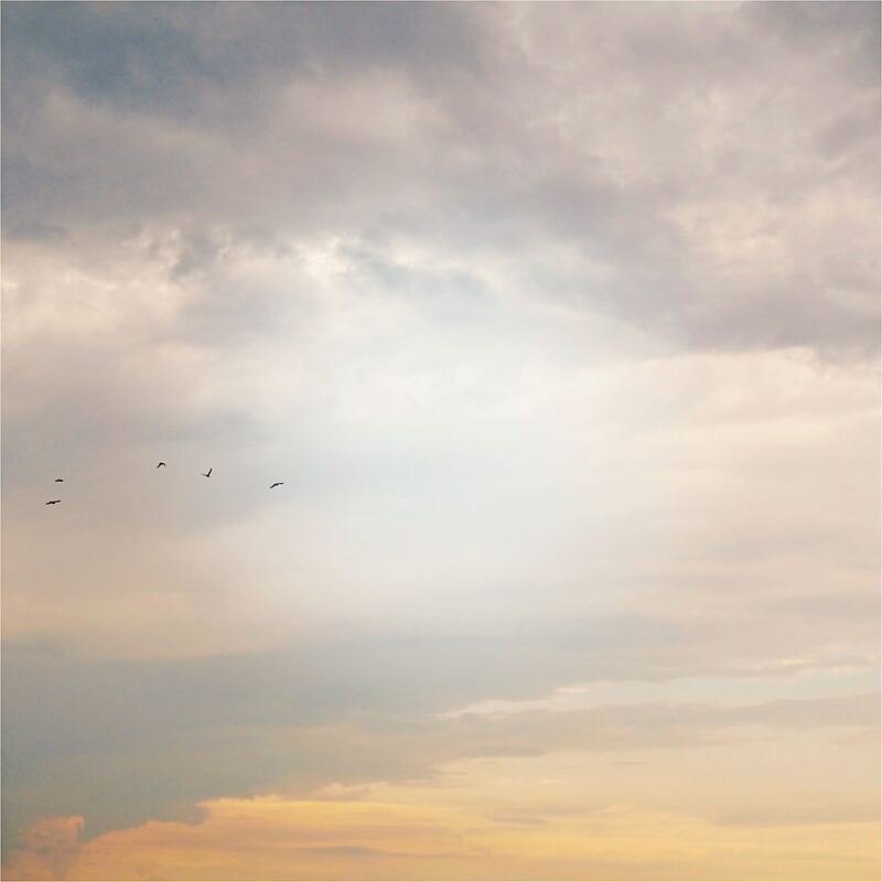 Rundwanderweg_Ludwigsburg_2 (17)