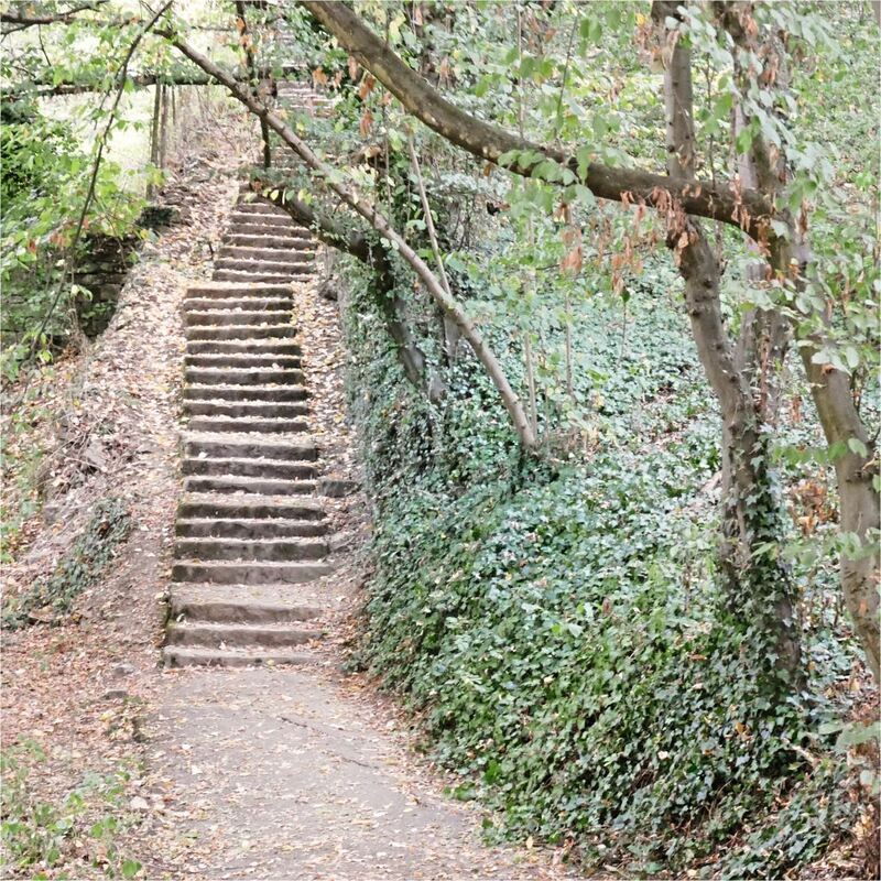 Rundwanderweg_Ludwigsburg_2 (18)