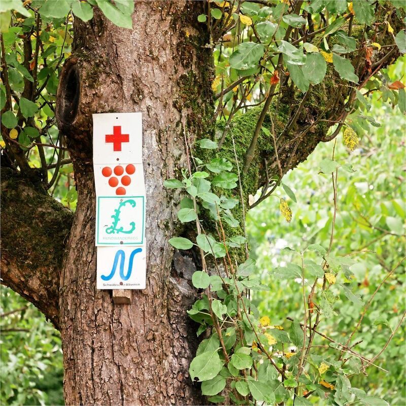 Rundwanderweg_Ludwigsburg_2 (21)