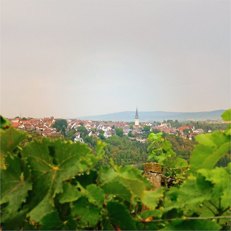 Rundwanderweg_Ludwigsburg_2 (24)