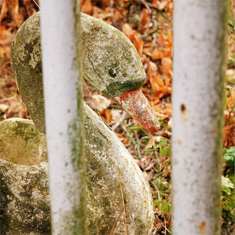 Rundwanderweg_Ludwigsburg_2 (25)