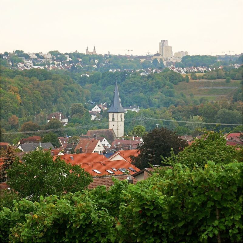 Rundwanderweg_Ludwigsburg_2 (26)