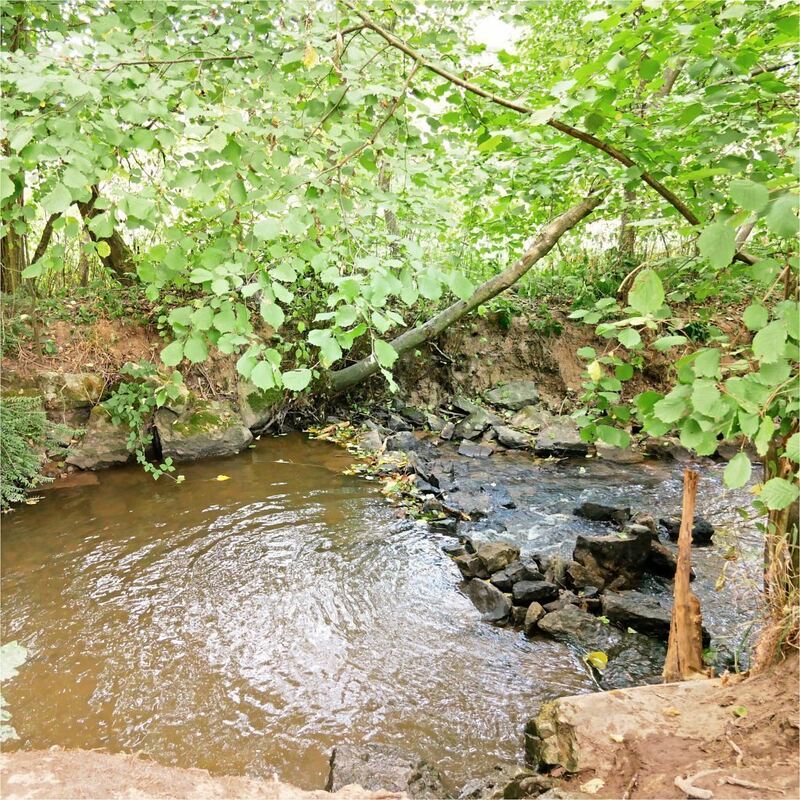 Rundwanderweg_Ludwigsburg_2 (27)