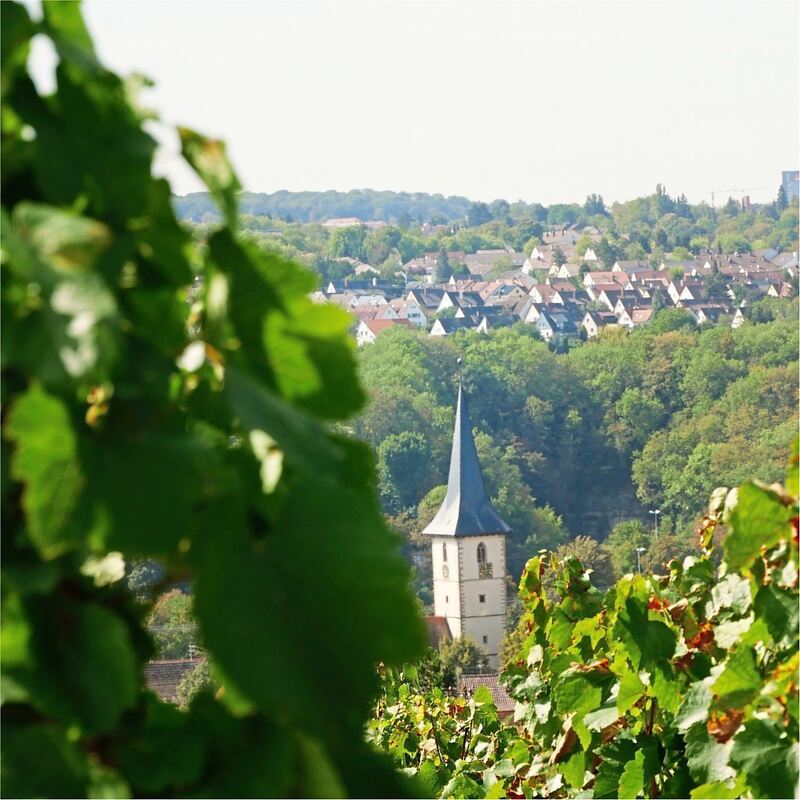 Rundwanderweg_Ludwigsburg_2 (32)